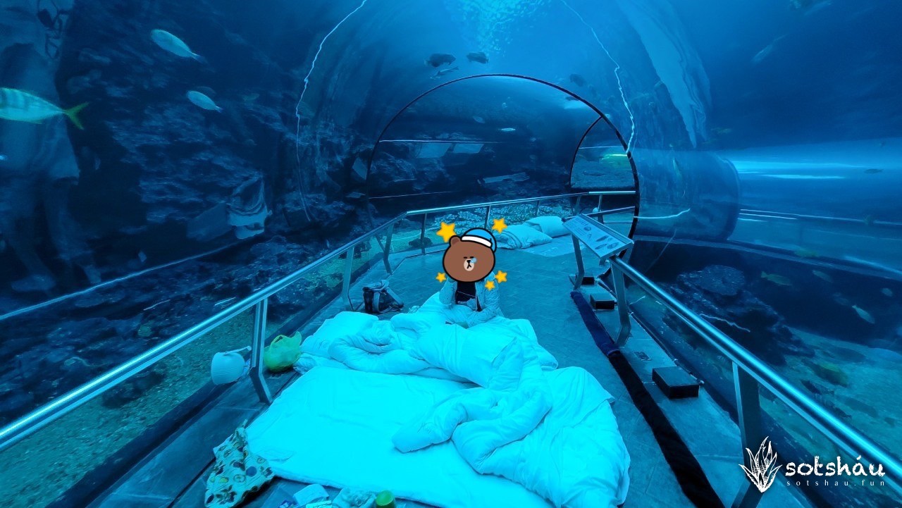 夜宿海生館2022：睡在海底隧道~體驗與魚共眠